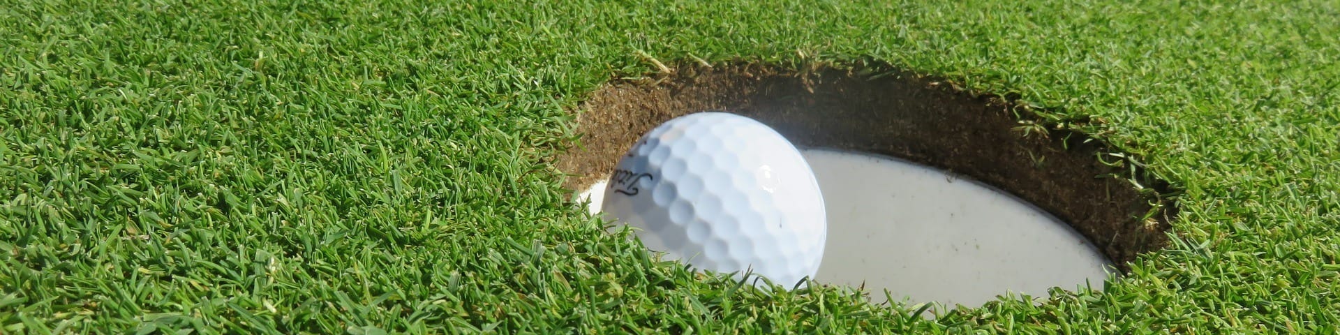 Golf Ball in the Cup